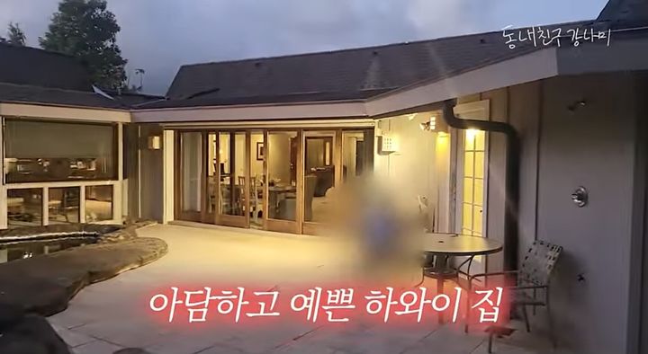 [서울=뉴시스] 그룹 'MIB' 출신 방송인 강남이 처음으로 하와이 집을 공개했다. (사진=유튜브 채널 '동네친구 강나미' 캡처) 2023.11.28. photo@newsis.com *재판매 및 DB 금지