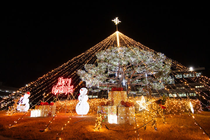 시청 원형화단에 불 밝힌 크리스마스 트리 (사진=구미시 제공) *재판매 및 DB 금지