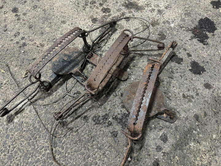 충북 제천 월악산국립공원에서 수거한 불법 엽구(덫). (사진=월악산국립공원사무소 제공) *재판매 및 DB 금지