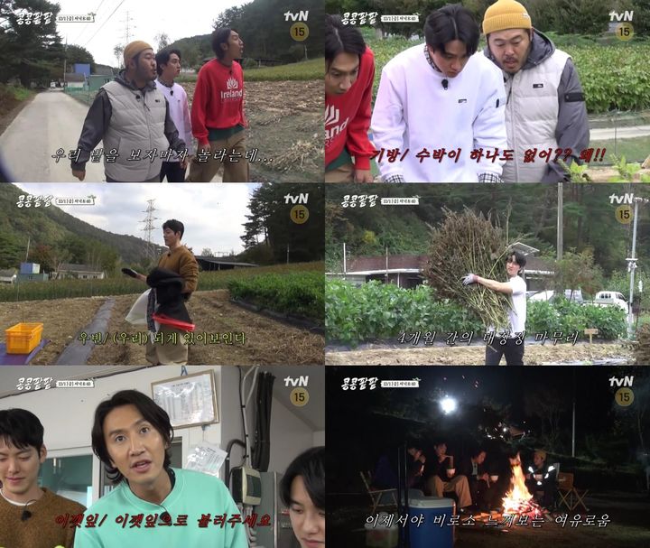 [서울=뉴시스] 1일 방송될 tvN '콩 심은 데 콩 나고 팥 심은 데 팥 난다'에서는 이광수, 김우빈, 도경수, 김기방이 들깨를 수확한다. (사진 = tvN <콩 심은 데 콩 나고 팥 심은 데 팥 난다> 예고 영상 캡처) 2023.12.01. photo@newsis.com *재판매 및 DB 금지