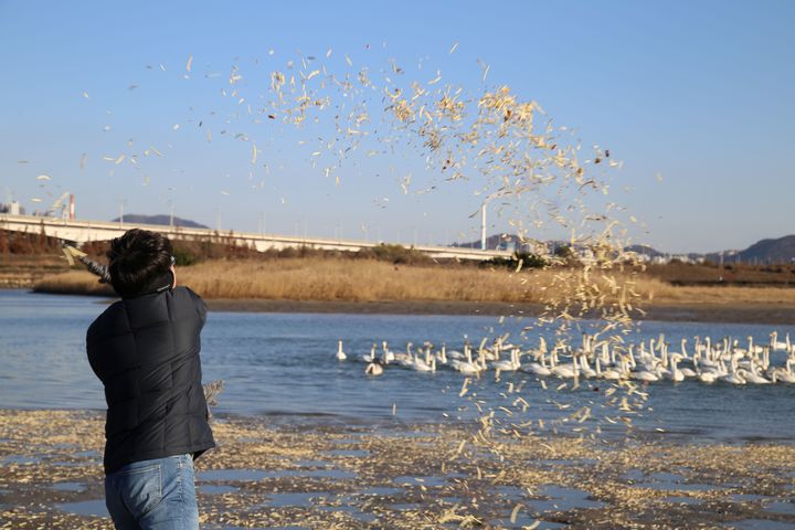 [부산=뉴시스] 롯데월드 샤롯데봉사단원들이 먹이용 곡물을 직접 살포하고 있다. (사진=롯데월드 부산 제공) *재판매 및 DB 금지