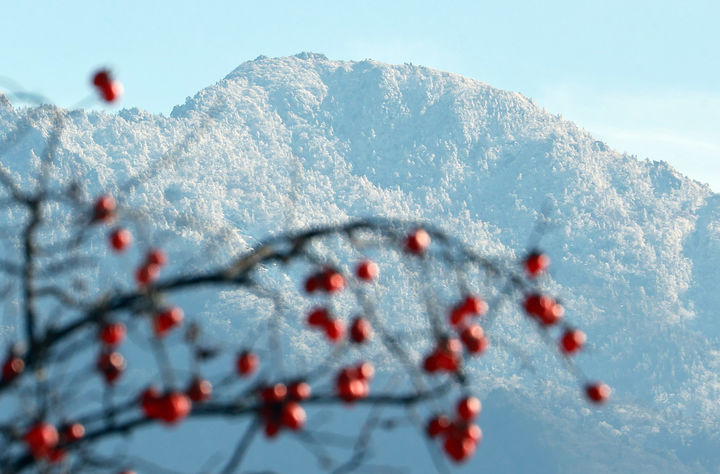충남권 아침 기온 평년보다 낮아 추운 날씨