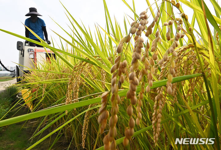[용인=뉴시스] 뉴시스DB