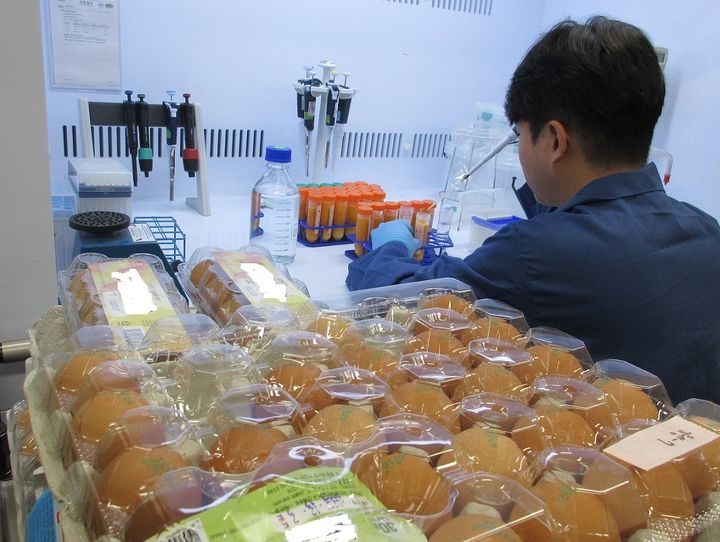 [대전=뉴시스] 대전보건환경연구원이 시중 판매 달걀에 대한 살충제 및 항생제 검사를 하고 있다. (사진= 대전시 제공) *재판매 및 DB 금지