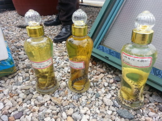 원주환경청 밀렵예방 단속. *재판매 및 DB 금지