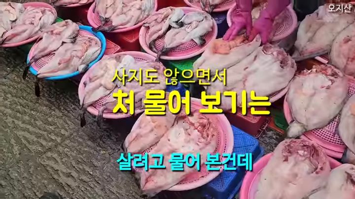 유튜버 '오지산'이 아내와 함께 방문한 인천 소래포구 전통오시장에서 한 상인에게 가격을 물은 후 막말을 들었다. (사진=유튜브 채널 오지산 캡처) *재판매 및 DB 금지