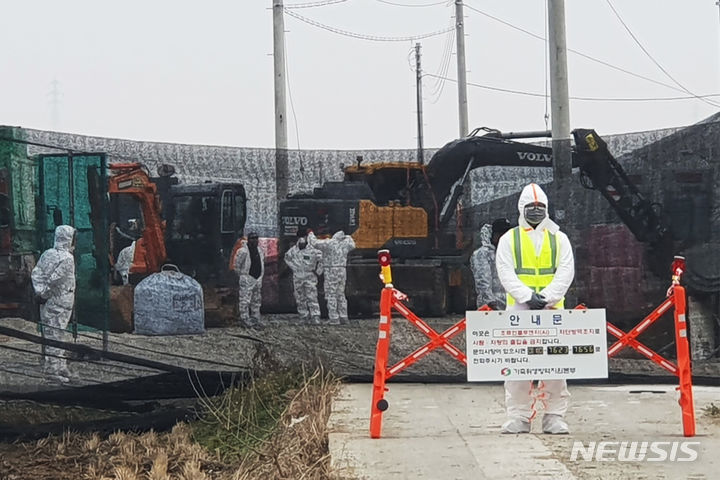 [무안=뉴시스] 박상수 기자 = H5형 조류인플루인제(AI) 항원이 검출된 전남 무안군의 한 육용오리 농장에서 6일 선제적 살처분이 이뤄지고 있다. 2023.12.06. parkss@newsis.com