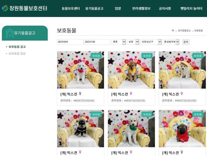 [창원=뉴시스] 강경국 기자 = 경남 창원시 동물보호센터 홈페이지. (사진=창원시청 제공). 2023.12.07. photo@newsis.com *재판매 및 DB 금지