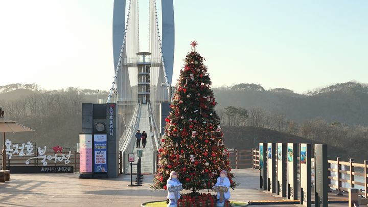 임실 옥정호 출어다리에 설치된 크리스마스 트리. *재판매 및 DB 금지