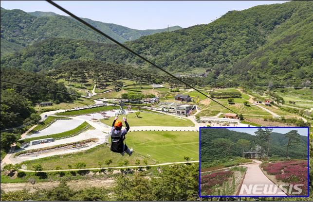 [서울=뉴시스] 전북 정읍시의 구절초 테마공원 사계절 활성화 조성사업. (사진=국토교통부 제공)