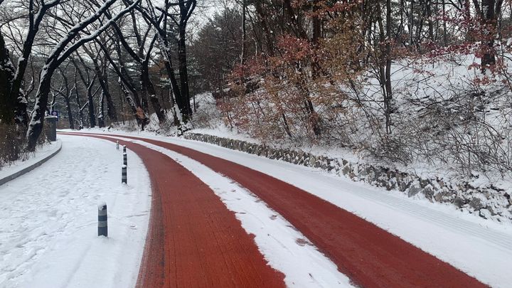 [서울=뉴시스]남산 남측순환로 도로열선.(사진=서울시 제공) *재판매 및 DB 금지