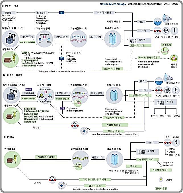 [대전=뉴시스] 미생물 활용 기술을 포함한 플라스틱 라이프 사이클.(사진=KAIST 제공) *재판매 및 DB 금지