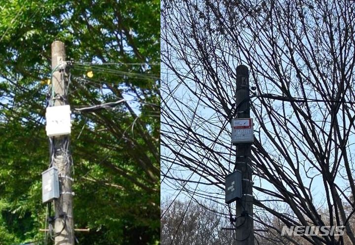 [전주=뉴시스]윤난슬 기자 = 공중케이블 정비 전후 모습.(사진=전주시 제공) 