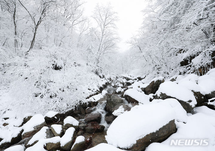 [강릉=뉴시스] 황준선 기자 = 일요일인 오는 17일은 충청권과 전라권을 중심으로 매우 많은 눈이 내리겠다. 특히 아침 최저기온이 -17도까지 내려가고 낮 동안에도 영하권의 날씨를 보이는 등 강추위가 이어지겠다. 사진은 지난 12일 강원 강릉시 연곡면의 한 계곡에 눈이 쌓여 있는 모습. 2023.12.12. hwang@newsis.com