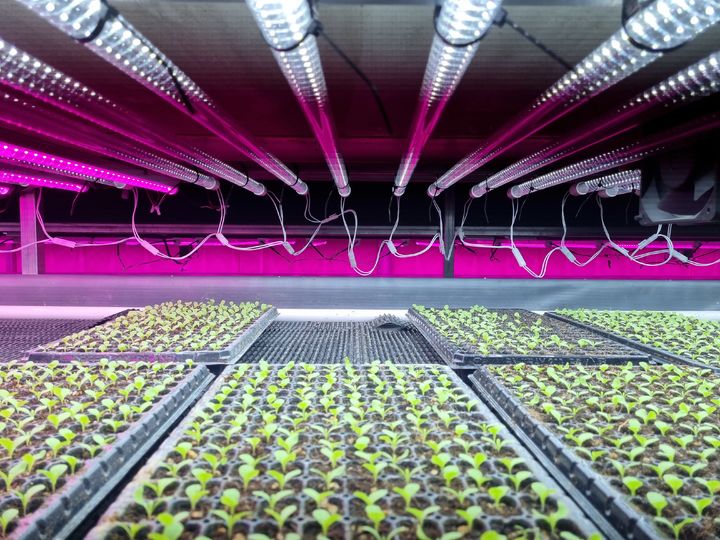 유럽형 상추 식물공장 *재판매 및 DB 금지