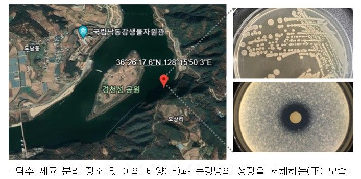 [세종=뉴시스]환경부 산하 국립낙동강생물자원관은 식용곤충 굼벵이의 질병방제와 효능을 높이는 담수 세균을 발견, 조성물에 대한 특허 출원을 마쳤다고 19일 밝혔다. (자료=환경부 제공) 2023.12.19. photo@newsis.com *재판매 및 DB 금지