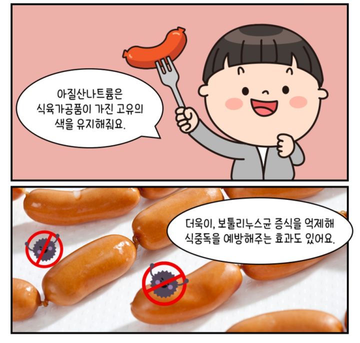 [서울=뉴시스] 19일 식품의약품안전처에 따르면 식품첨가물인 아질산나트륨을 일상에서 식품을 통해 섭취하는 수준은 생명에 위협이 되는 수준은 아니다. (사진=식약처 제공) 2023.12.19. photo@newsis.com *재판매 및 DB 금지