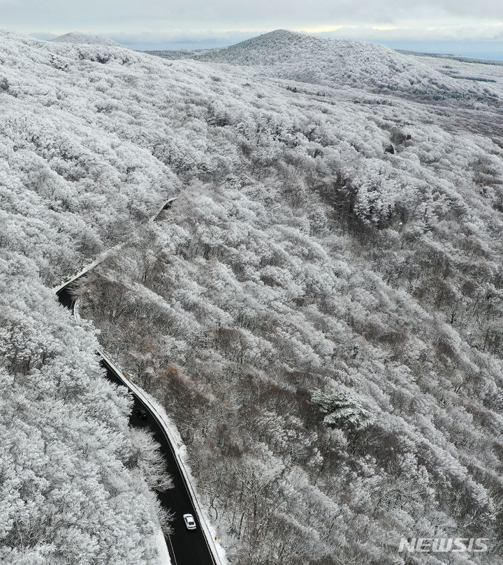[제주=뉴시스] 우장호 기자 = 제주 산간에 많은 눈이 내린 19일 오후 제주 한라산 1100도로 주변 골자기가 온통 하얀 눈으로 뒤덮혀 있다. 2023.12.19. woo1223@newsis.com