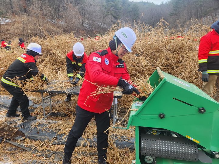 [대전=뉴시스] 20일 산림청 직원들이 경북 문경시 완장리 일대에서 소각산불 차단을 위해 영농부산물을 수거, 파쇄하고 있다.(사진=산림청 제공) *재판매 및 DB 금지