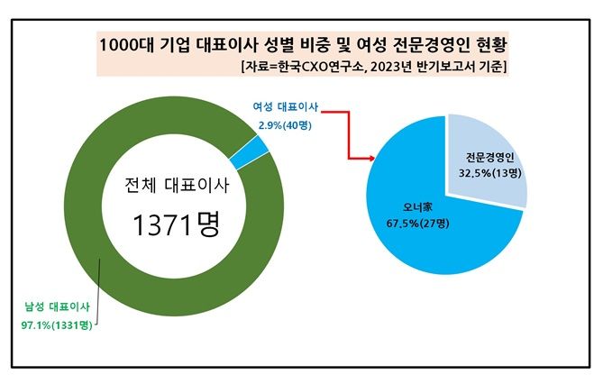 대기업 여성 CEO 13명…"전년대비 2배 됐다"