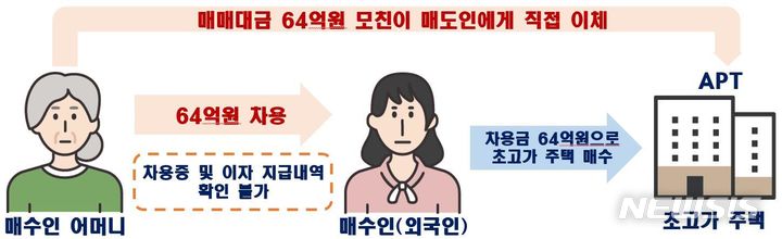 [서울=뉴시스] 특수관계인간 편법증여 의심 사례. (인포그래픽=국토교통부 제공)