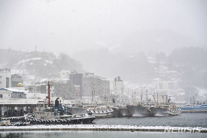 울릉도·독도 대설경보 발효…시간당 3~5㎝ 눈 내려