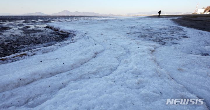 [부산=뉴시스] 하경민 기자 = 전국에 최강 한파가 몰아친 21일 부산 사하구 다대포해수욕장에서 바닷물이 하얗게 얼어 붙어 있다. 2023.12.21. yulnetphoto@newsis.com