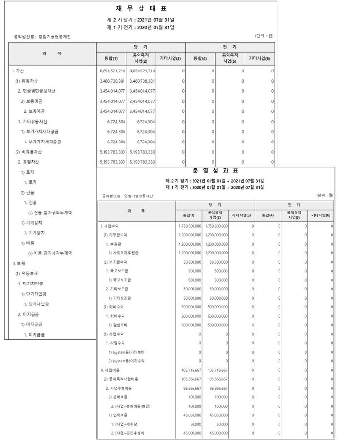 '시스템에버 비영리'로 만든 재무상태표/운영성과표의 샘플 화면. (자료 사진=영림원소프트랩) *재판매 및 DB 금지