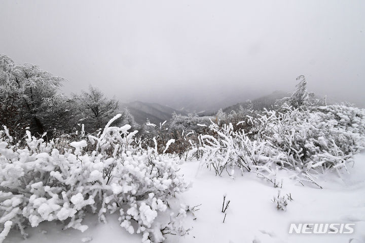 [남원=뉴시스]차용현 기자= 크리스마스인 지난 25일 오후 전북 남원시 지리산 바래봉에 많은 눈이 쌓여 장관을 이루고 있다. 2023.12.25.con@newsis.com