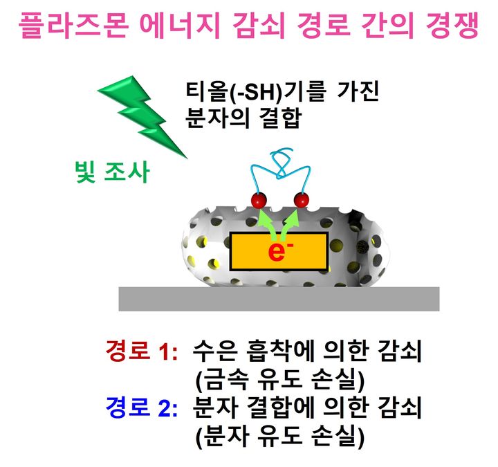 [울산=뉴시스] 핫전자가 전달되는 모습을 설명한 그림 *재판매 및 DB 금지