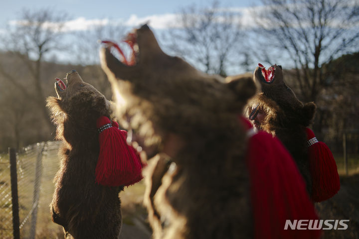 [라코바=AP/뉴시스] 26일(현지시간) 루마니아 북부 라코바 마을에서 곰 털 의상을 입은 어린이들이 마을 주민들을 위해 춤추기 전 행진하고 있다. 루마니아 '춤추는 곰 축제'는 동물 털을 입은 사람들이 집집이 다니며 노래하고 춤추면서 악을 물리치는 전통 풍습으로 기독교 이전 시대부터 유래한 것으로 알려졌다. 2023.12.27.
