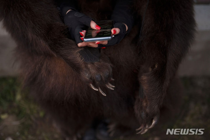 [라코바=AP/뉴시스] 26일(현지시간) 루마니아 북부 라코바 마을에서 곰 털 의상을 입은 한 참가자가 스마트폰을 하고 있다. 루마니아 '춤추는 곰 축제'는 동물 털을 입은 사람들이 집집이 다니며 노래하고 춤추면서 악을 물리치는 전통 풍습으로 기독교 이전 시대부터 유래한 것으로 알려졌다. 2023.12.27.