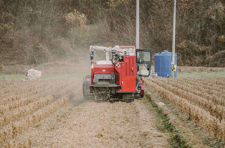 [안동=뉴시스] 문경들녘에서 대형 콩수확기로 수확하는 장면. (사진=경북도 제공) 2025.12.28. photo@newsis.com *재판매 및 DB 금지