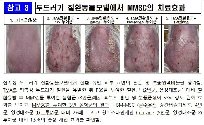 ⓒ제주대 박세필 교수 *재판매 및 DB 금지