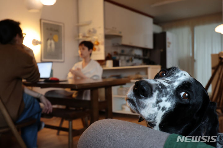 [서울=뉴시스] 박진희 기자 = 안담 작가가 29일 서울 은평구 자택에서 인터뷰 하고 있다. 작가는 최근 소설 '소녀는 따로 자란다'를 출간했다. 오른쪽은 반려견 무늬. 2023.12.30. pak7130@newsis.com