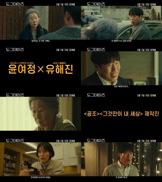 윤여정·유해진 기분 개좋네…'도그데이즈' 2월7일 공개