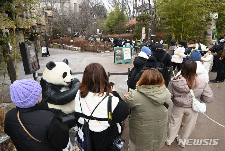 [용인=뉴시스] 김종택 기자 = 국내 첫 쌍둥이 아기 판다 루이바오와 후이바오가 일반에 공개된 4일 경기도 용인시 에버랜드 판다월드 앞에 많은 관람객들이 줄 서 대기하고 있다. 2024.01.04. jtk@newsis.com
