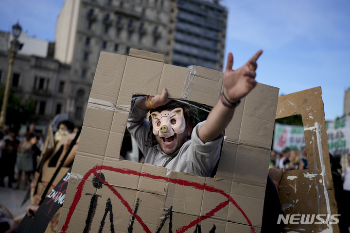 [부에노스아이레스=AP/뉴시스] 4일(현지시각) 아르헨티나 부에노스아이레스에서 하비에르 밀레이 대통령의 정책에 반대하는 시위가 열린 가운데 돼지 마스크를 쓴 참가 남성이 구호를 외치고 있다. 2024.01.12.