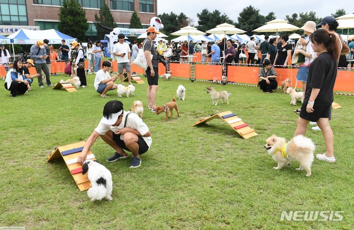 [화성=뉴시스] 2023 화성 반려동물 행복나눔 축제(사진=화성시 제공) 2024.01.07. sonanom@newsis.com