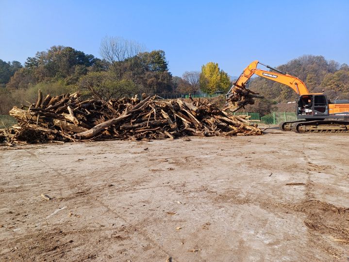 수해목 처리 *재판매 및 DB 금지