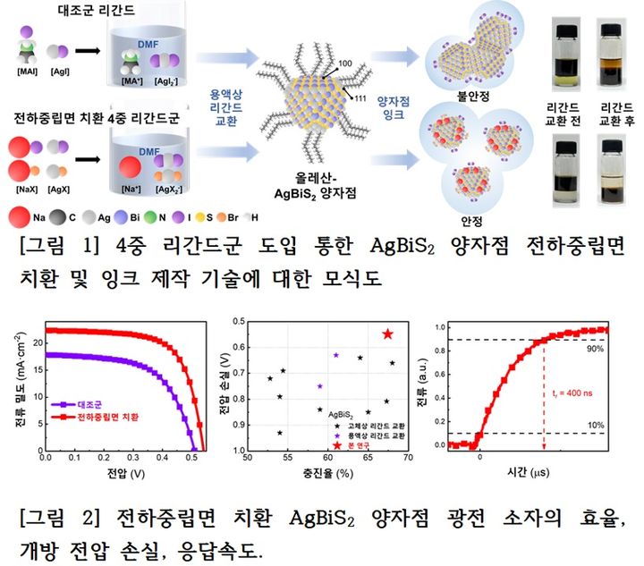 (사진=고려대 제공) *재판매 및 DB 금지