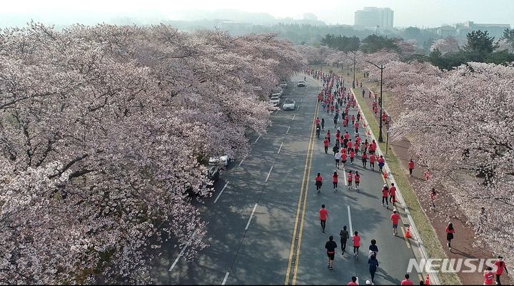 2023년 '제30회 경주 벚꽃마라톤 대회'