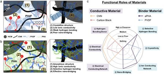 이중 네트워크 조합 전략을 이용한 후막 전극의 모식도 및 도전재와 바인더의 기능적 역할을 비교하기 위한 다이어그램. (사진=고려대 제공) *재판매 및 DB 금지