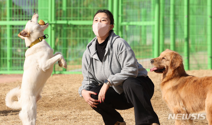[대구=뉴시스] 이무열 기자 = 16일 대구 달서구 장동에 조성된 반려견 놀이터에서 강아지들이 뛰놀고 있다. 달서구청은 오는 2월1일 대구지역 최초로 도심형 반려견 쉼터인 '달서 반려견 놀이터'를 개장한다. 놀이터에는 중·소형견 놀이터, 대형견 놀이터, 보호자 쉼터, 펫카페, 산책로 등 다양한 시설이 갖춰져 있다. 운영시간은 오전 9시~오후 6시(겨울철 오전 9시~17시, 매주 월요일 휴장)로 동물등록이 완료된 반려견만 이용할 수 있다. 2024.01.16. lmy@newsis.com