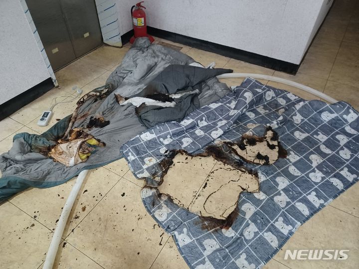 [부천=뉴시스] 정일형 기자 = 전기장판 불. (사진은 부천소방서 제공)