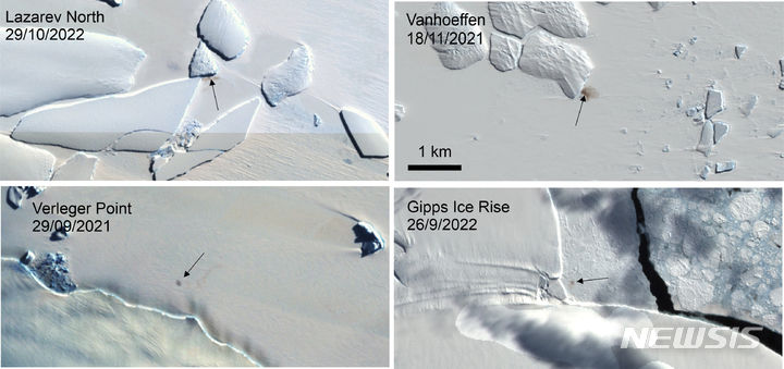 [남극=AP/뉴시스] 새롭게 발견된 4개의 황제펭귄 서식지를 촬영한 위성 사진. 2024.01.24.
