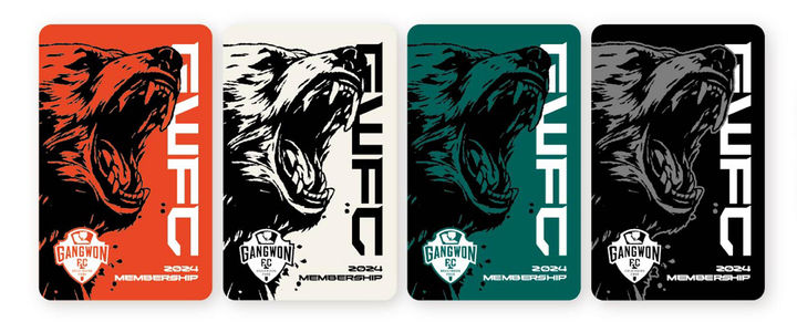 강원FC 2024년 시즌권&nbsp; *재판매 및 DB 금지