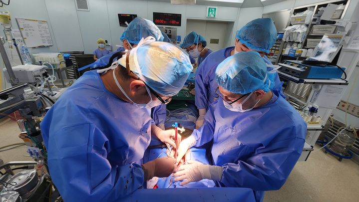 [광주=뉴시스] 전남대학교병원 심장혈관흉부외과 의료진이 심장수술을 진행하고 있다.  (사진=전남대병원 제공. 기사와 직접이 없습니다.) 2024.03.11. photo@newsis.com *재판매 및 DB 금지