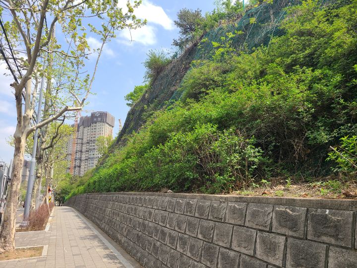 [대구=뉴시스] 대구시 서구 이현공원 급경사지 모습. (사진=대구시 서구 제공) 2024.01.26. photo@newsis.com *재판매 및 DB 금지