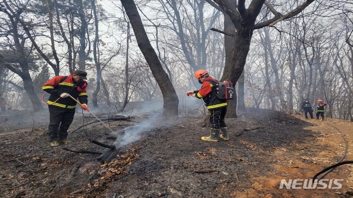 [고양=뉴시스] 산불진화 작업.(사진=고양시 제공)